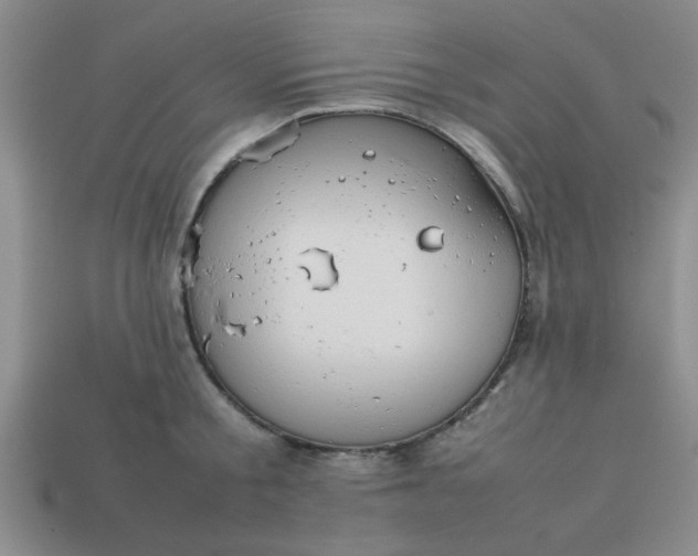 X0000113780805200910071223