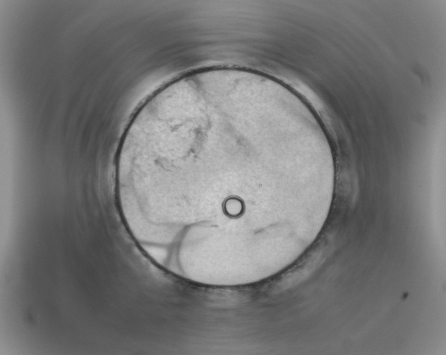 X0000113780807200910071223