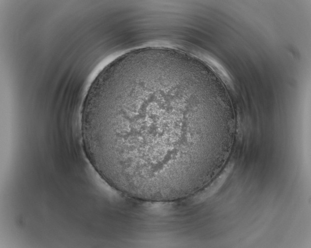 X0000113780808200910071223