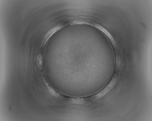 X0000113780809200910071223