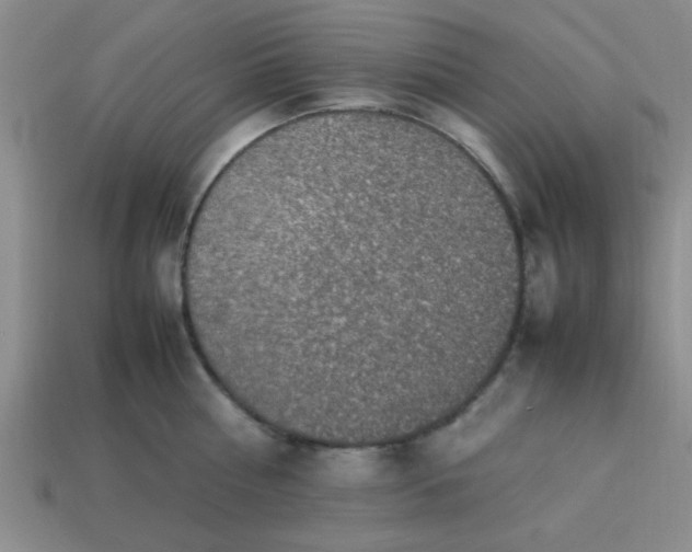 X0000113780810200910071223