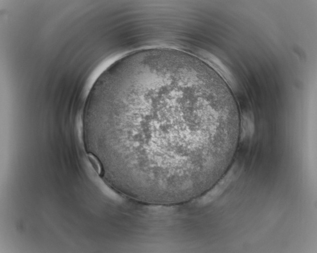 X0000113780812200910071223