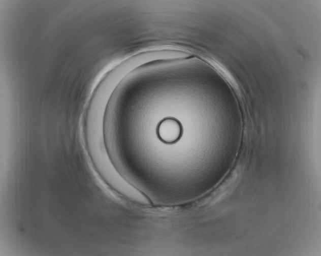 X0000113780813200910071223