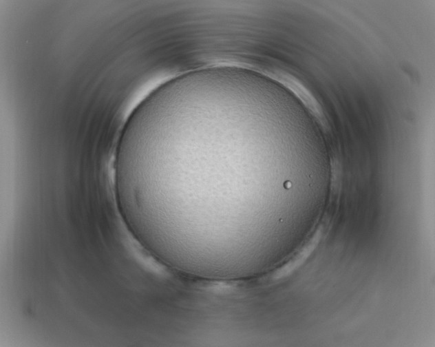 X0000113780814200910071223