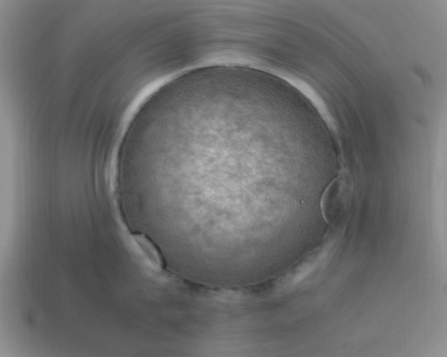 X0000113780815200910071222