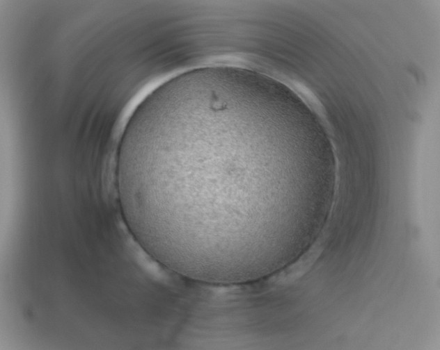 X0000113780816200910071222