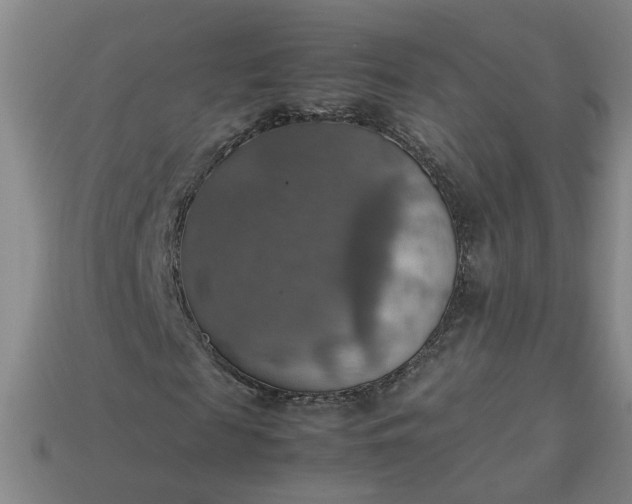 X0000113780817200910071222