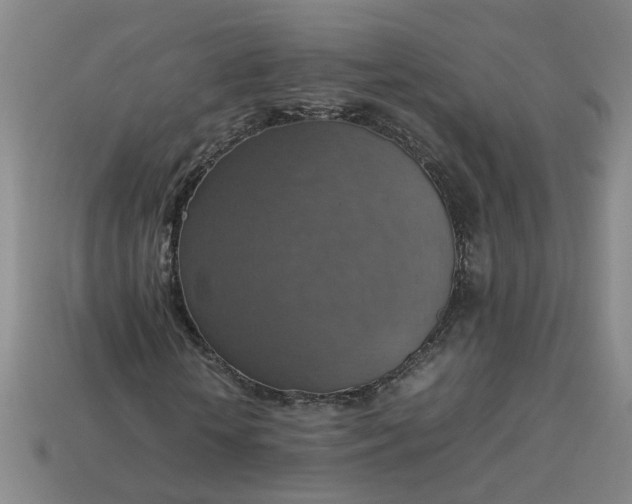 X0000113780818200910071222