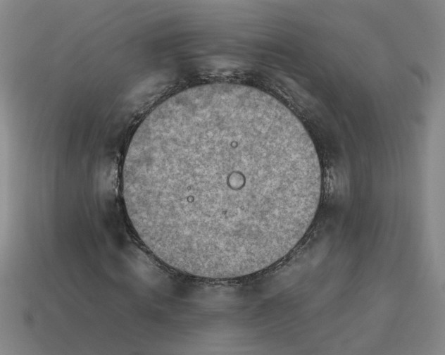 X0000113780820200910071222