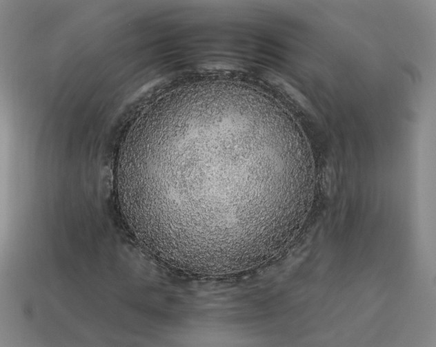 X0000113780821200910071222