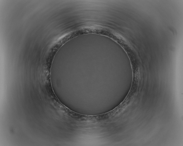 X0000113780822200910071222