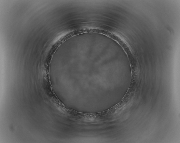 X0000113780823200910071222