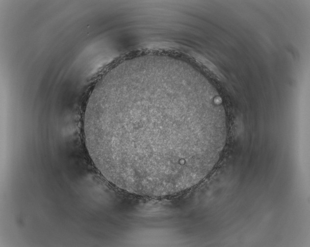 X0000113780824200910071222