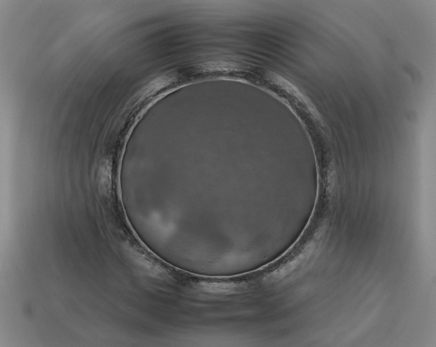 X0000113780825200910071222