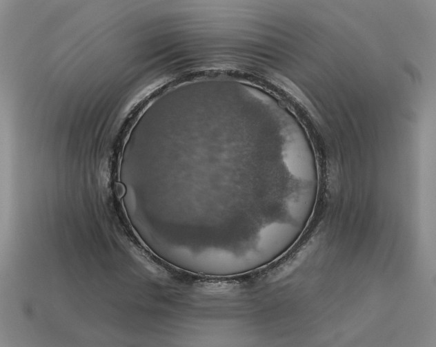 X0000113780826200910071222