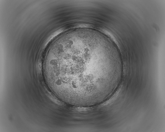 X0000113780827200910071222