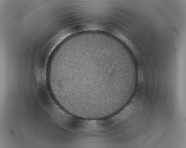 X0000113780828200910071222