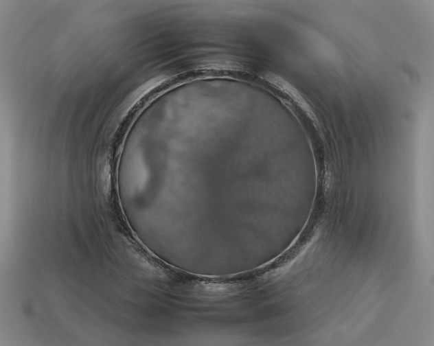 X0000113780829200910071222