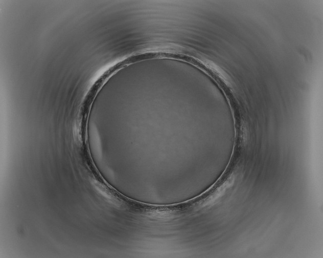 X0000113780830200910071222