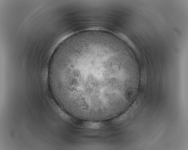 X0000113780831200910071222