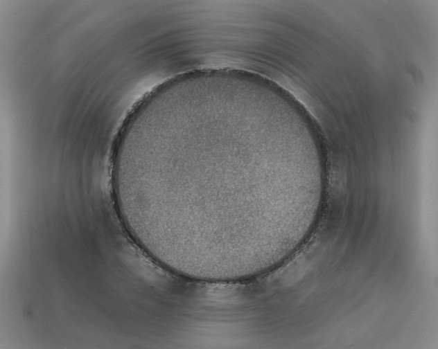 X0000113780832200910071222