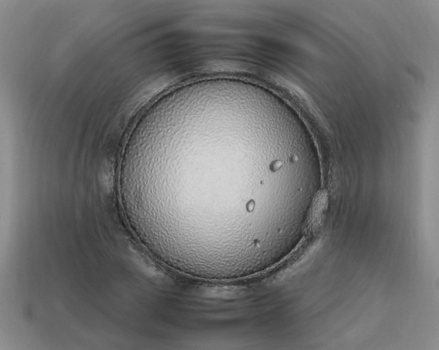 X0000113780833200910071222