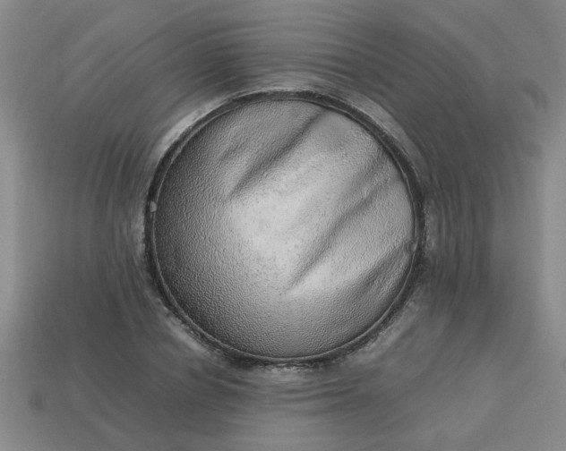 X0000113780834200910071222