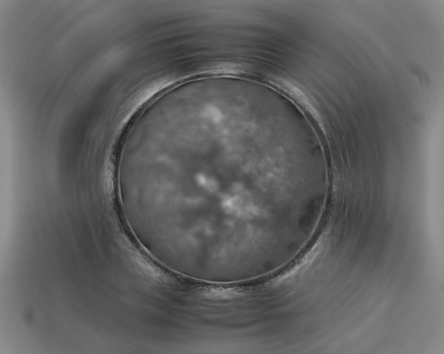 X0000113780835200910071222