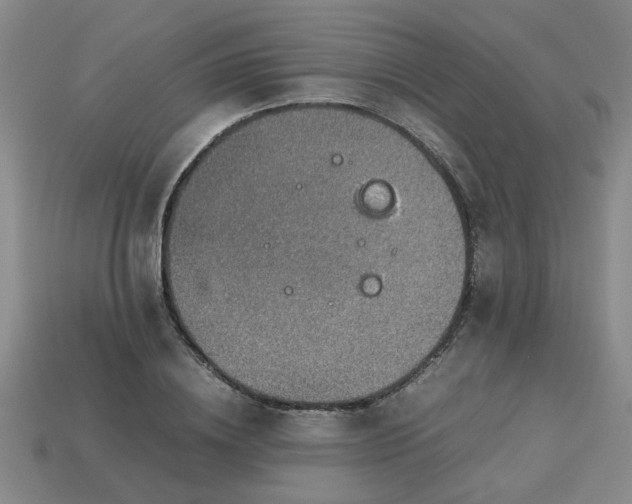 X0000113780836200910071222