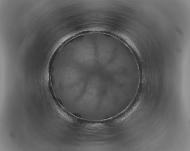 X0000113780837200910071222