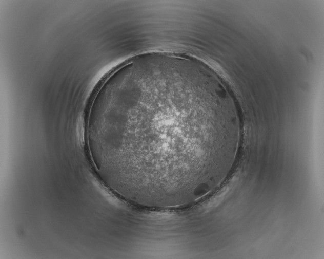 X0000113780838200910071222