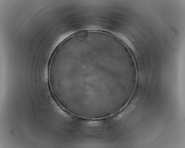 X0000113780839200910071222