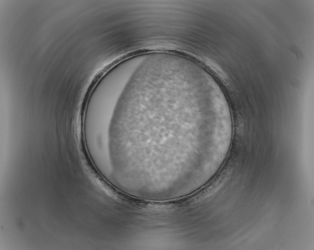 X0000113780840200910071222