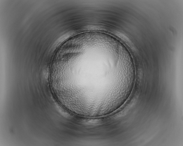 X0000113780841200910071222