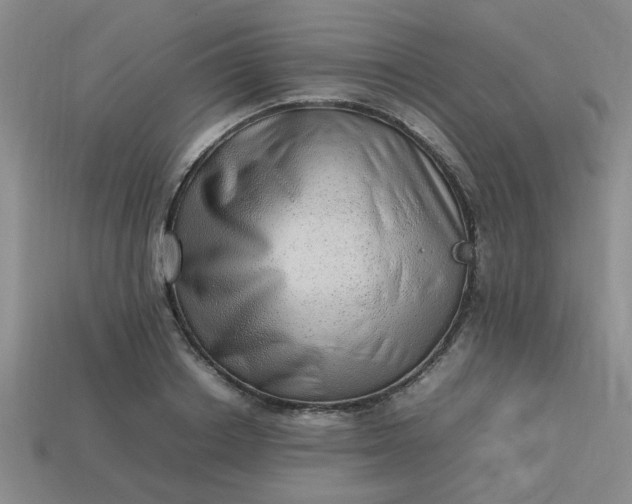 X0000113780842200910071222