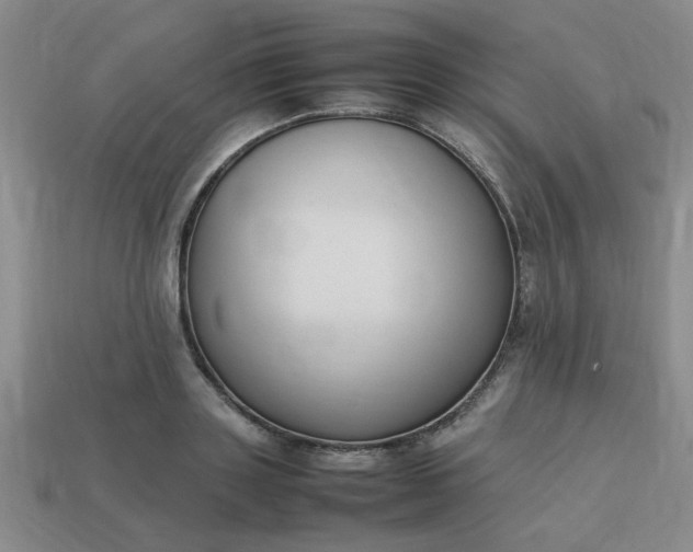 X0000113780843200910071222