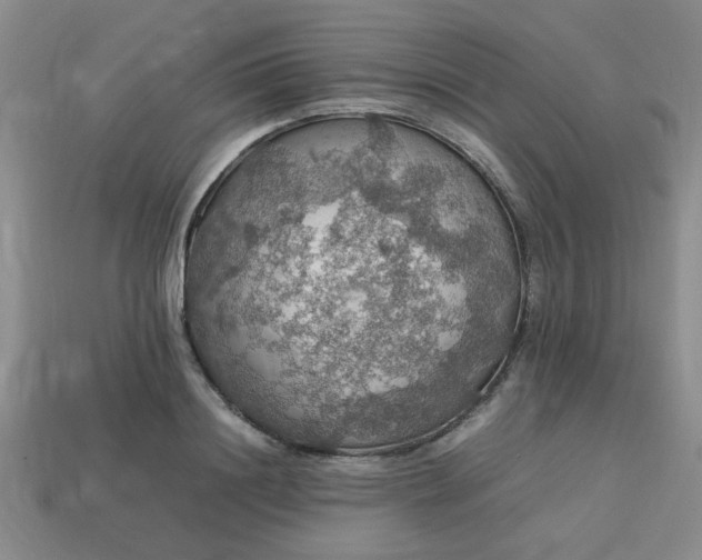 X0000113780844200910071222