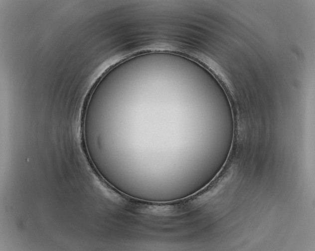 X0000113780845200910071222