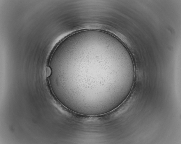 X0000113780846200910071222