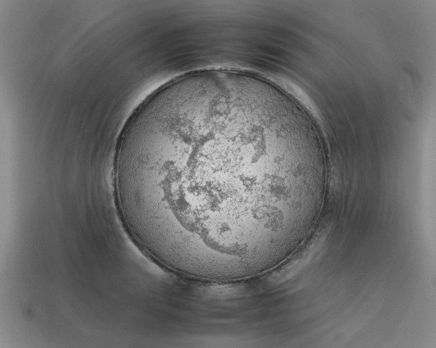 X0000113780847200910071222