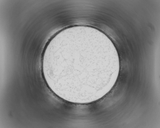 X0000113780848200910071222