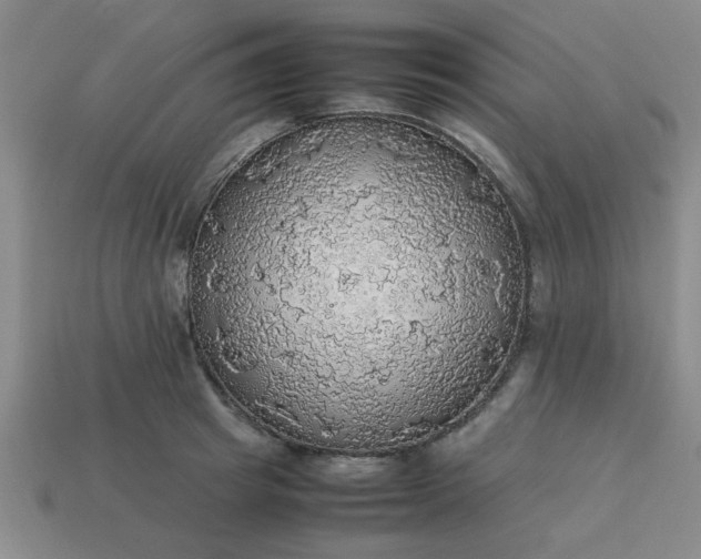 X0000113780849200910071222