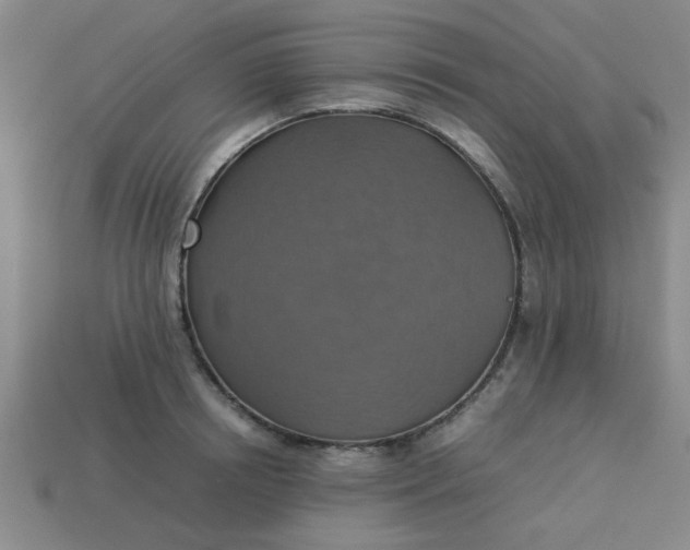 X0000113780850200910071222