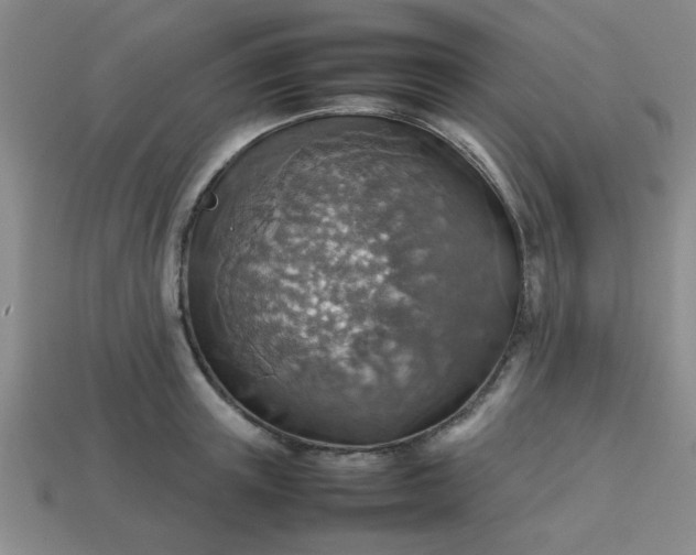 X0000113780851200910071222