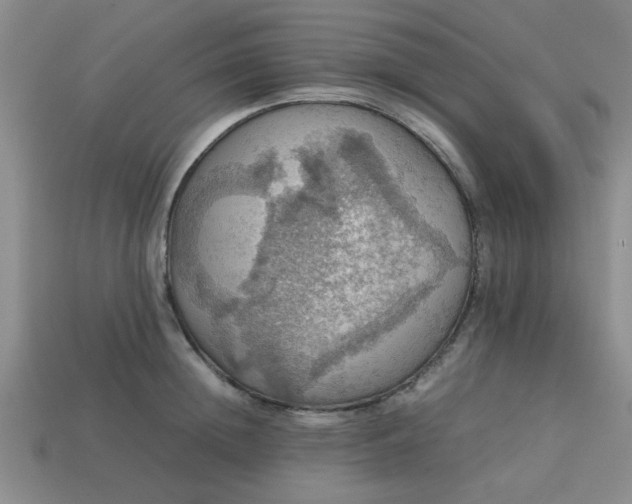 X0000113780852200910071222