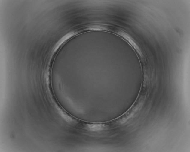 X0000113780853200910071222