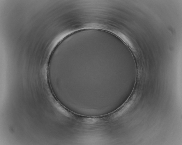 X0000113780854200910071222