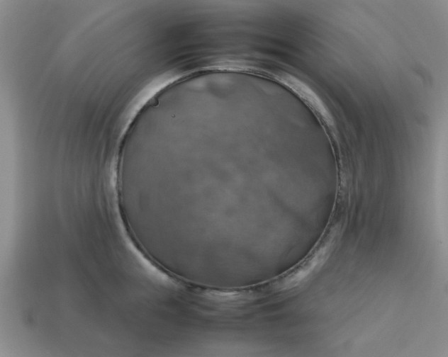 X0000113780855200910071222