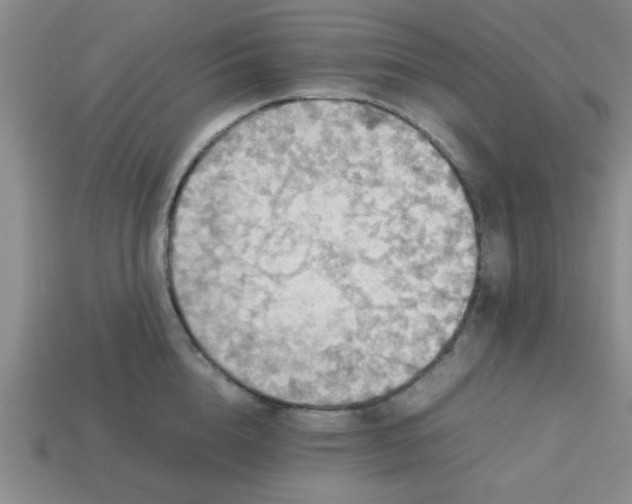 X0000113780856200910071222