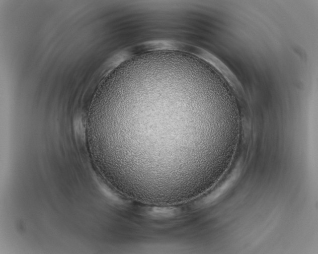 X0000113780857200910071222